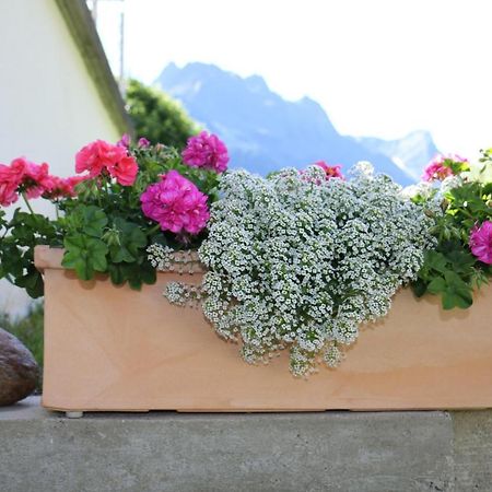 Apart Brigitta Sankt Leonhard im Pitztal Exterior foto